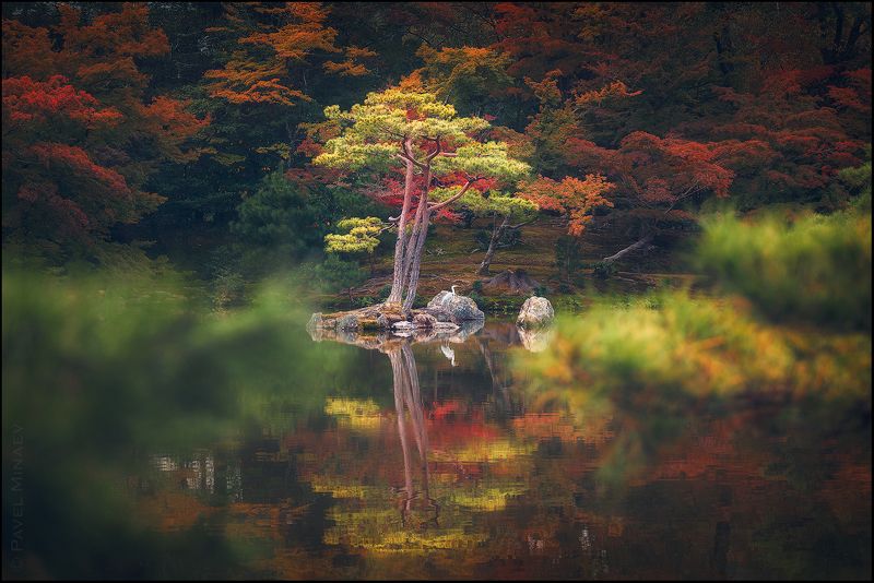 Осень в Киотоphoto preview