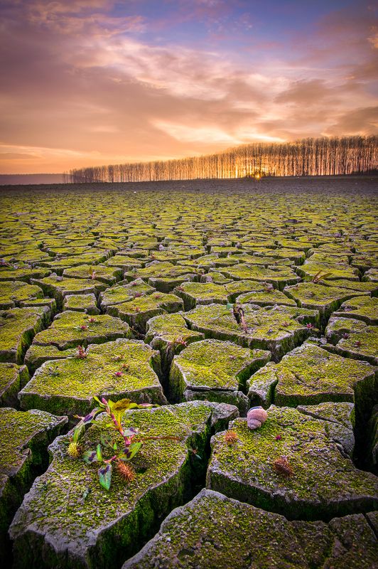 Landscape Photography by Maya Vphoto preview