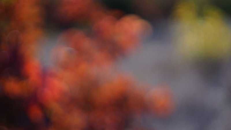 ОСЕНЬphoto preview