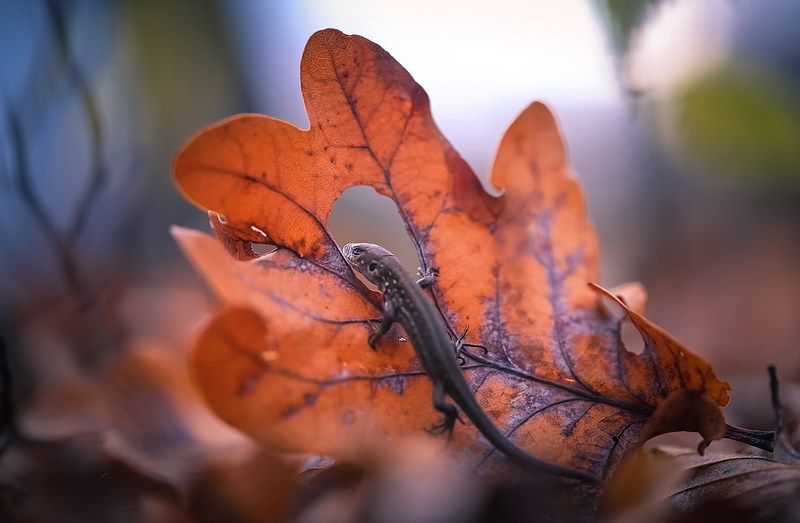 Далеко еще до весны фото превью
