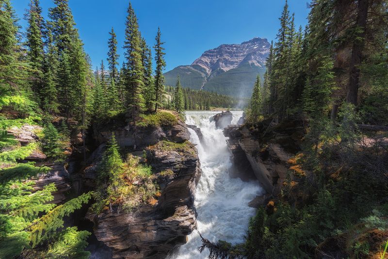 canada, jasper, national, park, sunwapta, fall, waterfall, river, athabasca, island, rock, banff, calgary, alberta, landscape Athabasca Fallsphoto preview