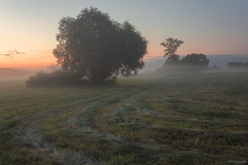 пейзаж,природа,осень,туман,рассвет,утро, photo preview