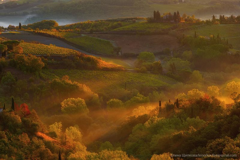 Утренний туман в СанДжиминьяноphoto preview