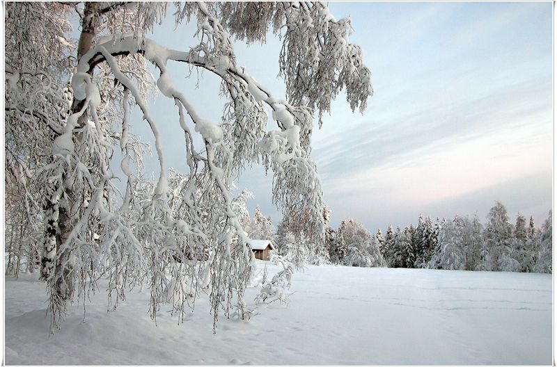 швеция Нежная снежнаяphoto preview