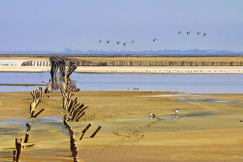 утки,озеро,лето,столбы.соленое озеро Летят утки....photo preview