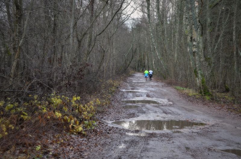 Осенний марафонphoto preview