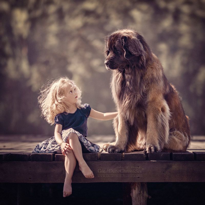 Bodyguardphoto preview