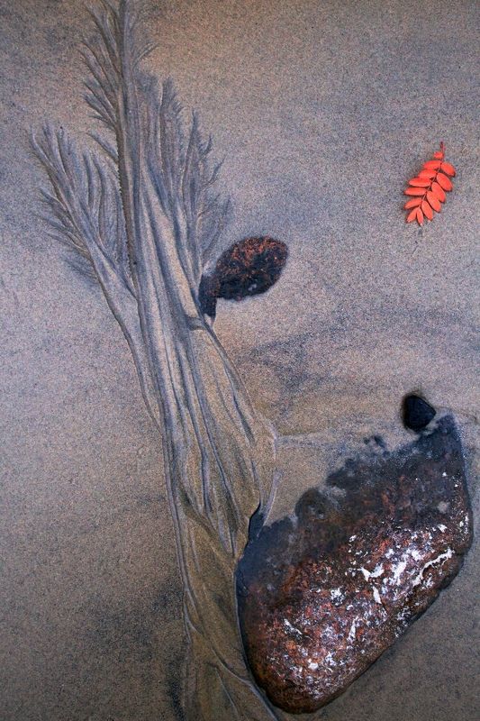 узоры, абстракция, фактура, осень осеньphoto preview