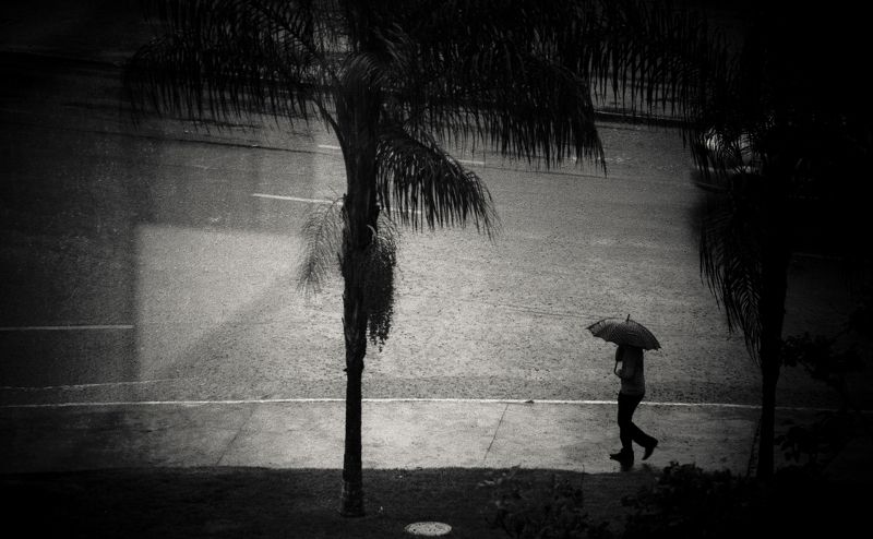 rain chuva dias de chuvaphoto preview