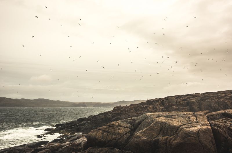 север, тундра, териберка, море, скалы, шторм, холод Зов севераphoto preview