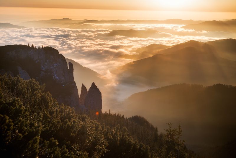 Sunrisephoto preview