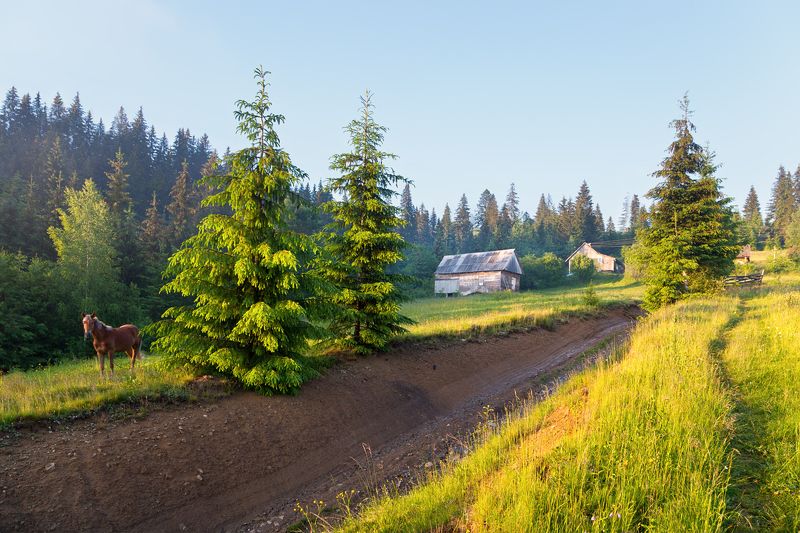 Вечер на хутореphoto preview