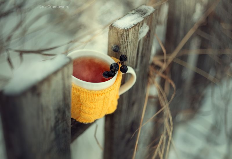 боке, ручной обьектив, мануальная оптика, фотограф, фотосессия, натюрморт, фото, блики, цветы, гелиос, макро, Зимний чайphoto preview