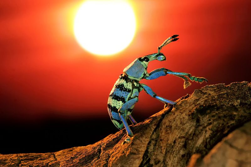 Západ sluncephoto preview