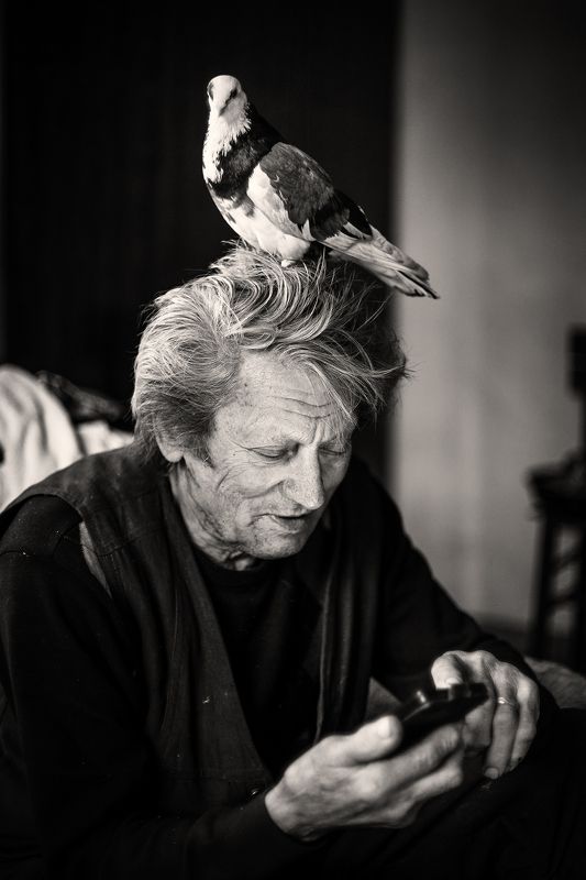 В сети...photo preview