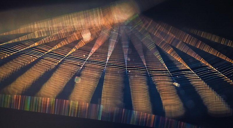 Метаморфозы на тему паутиныphoto preview