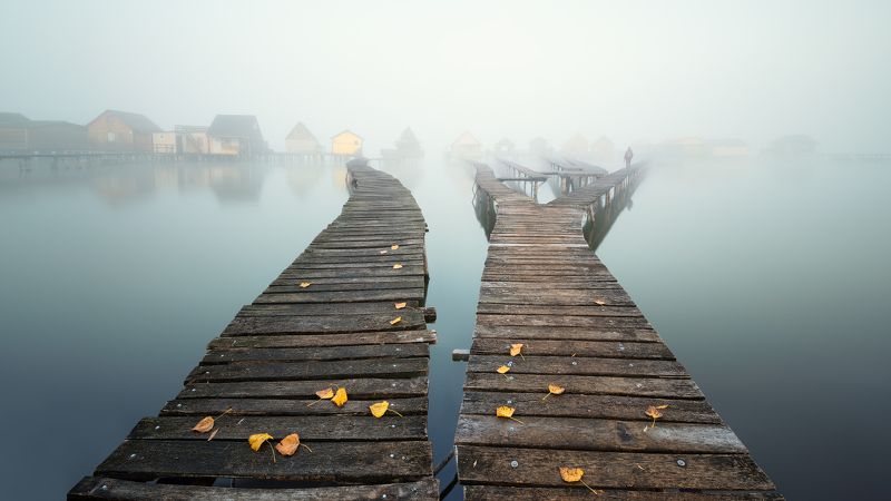 Leaves...photo preview