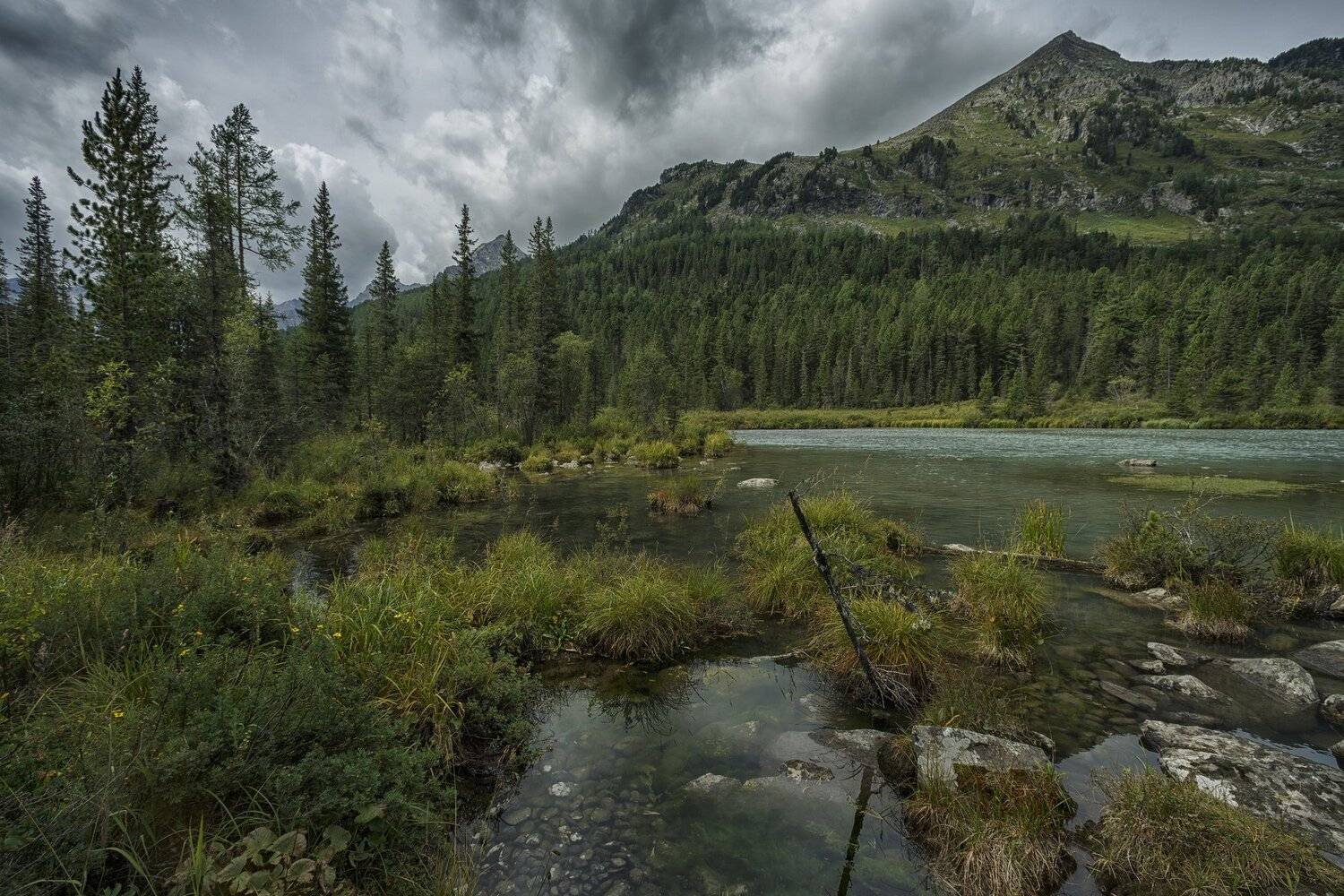 , Шевченко Николай