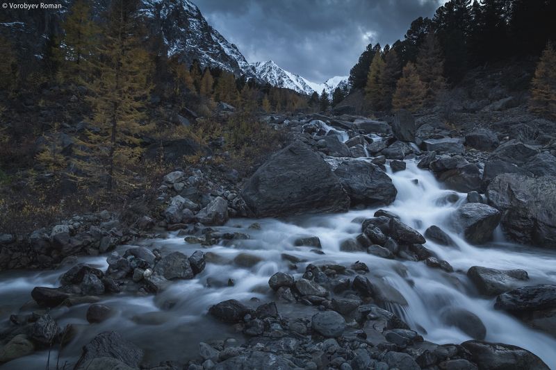 алтай, горы, горный алтай, осень. сентябрь Вечер в ущелье Актруphoto preview