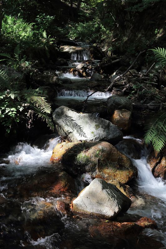 mountain streamphoto preview