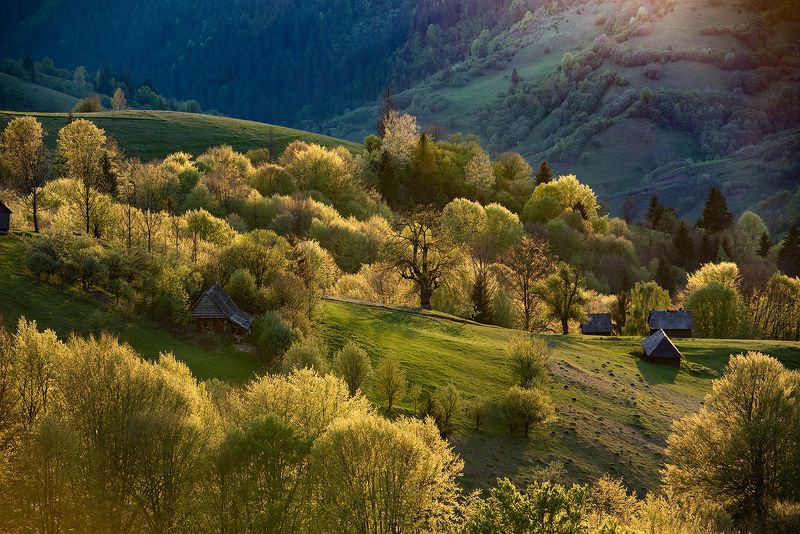 Карпатский мотивphoto preview