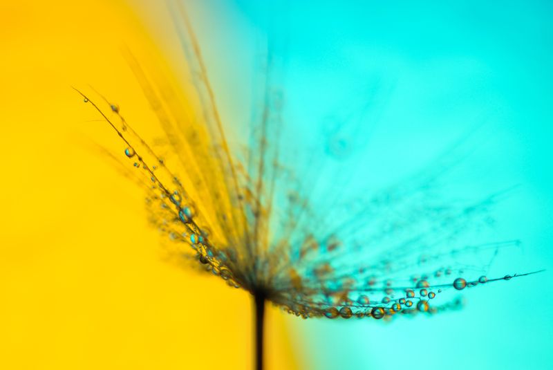 contrast photo preview