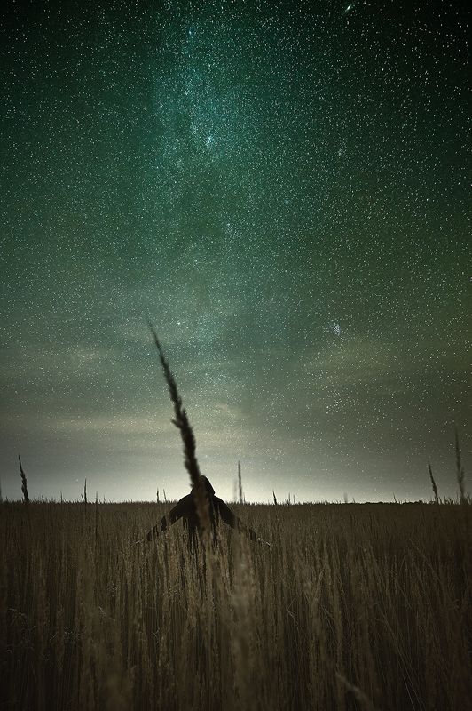 Меланхолияphoto preview