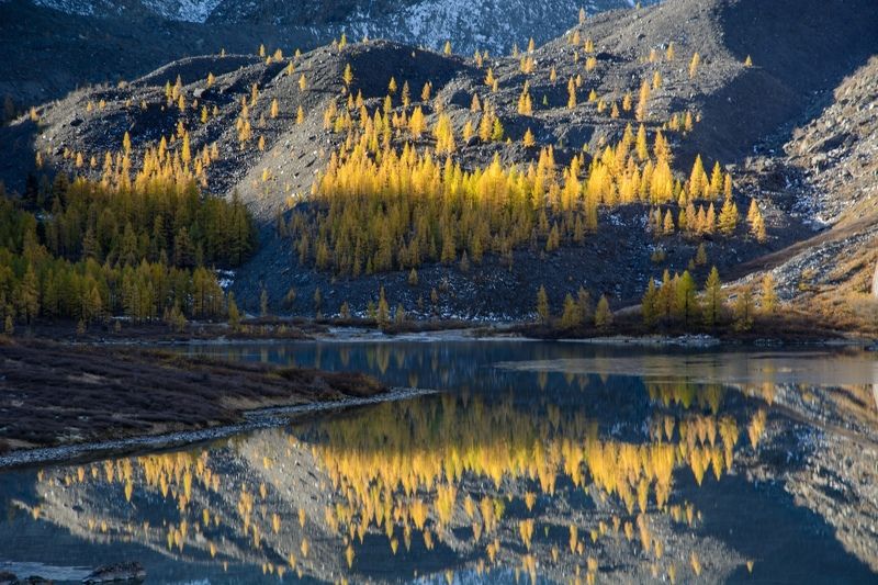 алтай,осень луч солнца золотого...photo preview