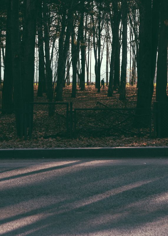 осеньphoto preview