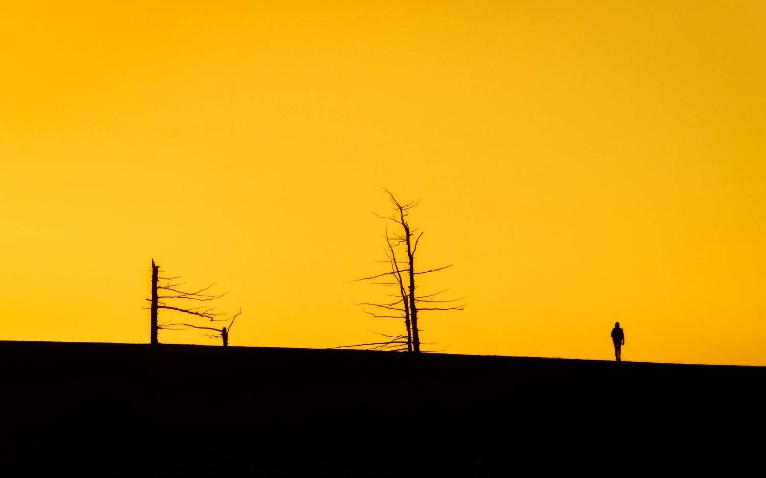 , Владимир Кириллов