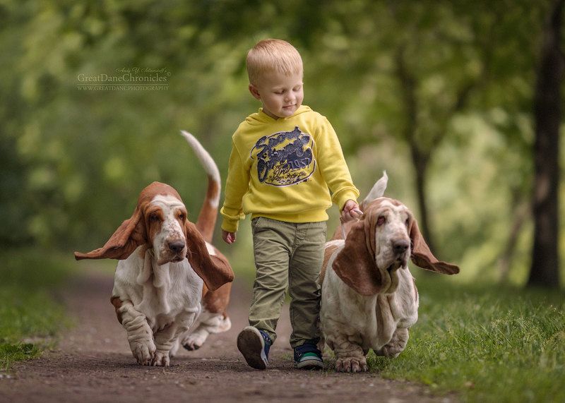 On a Walkphoto preview