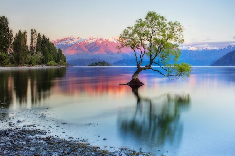 new zealand, south island, wanaka lake Outcastphoto preview