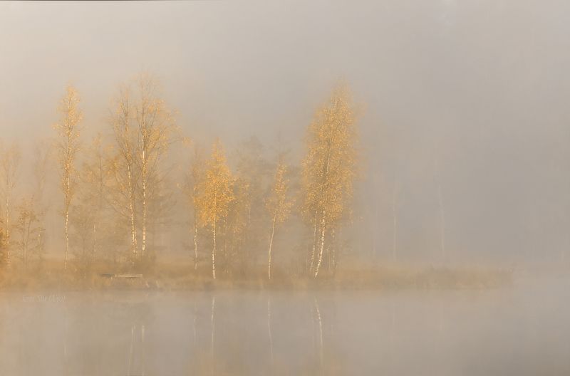 питер, рассвет, туман, утро, осень, болото, озеро, landscape,  autumn ... тишинаphoto preview