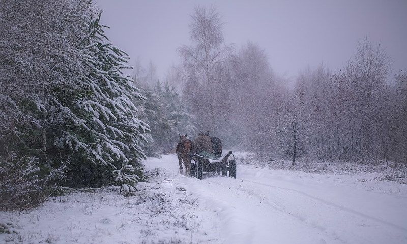 По снегу летящему с неба...photo preview