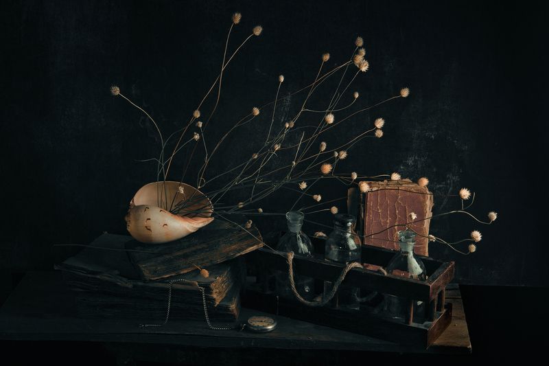 ракушка, бутылки, стекло, книги, часы, карманные часы, старые, сухоцвет, натюрморт with sea shellphoto preview