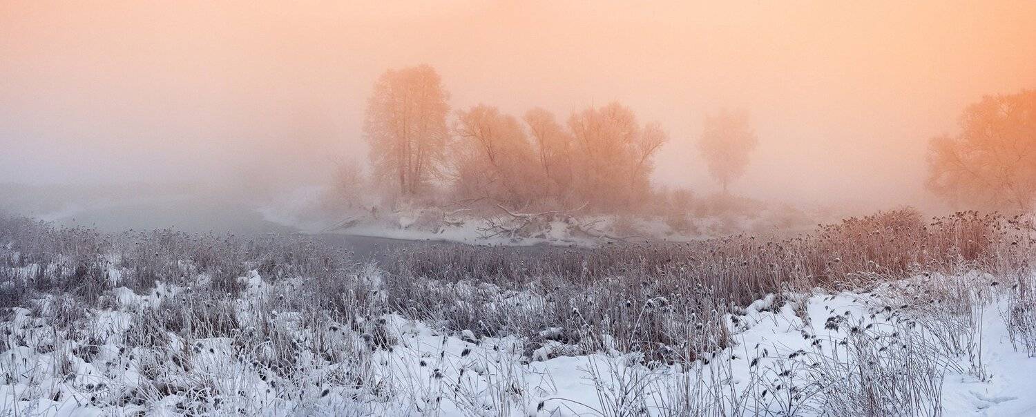 ***. Автор: Александр Пархоменко , Александр Пархоменко