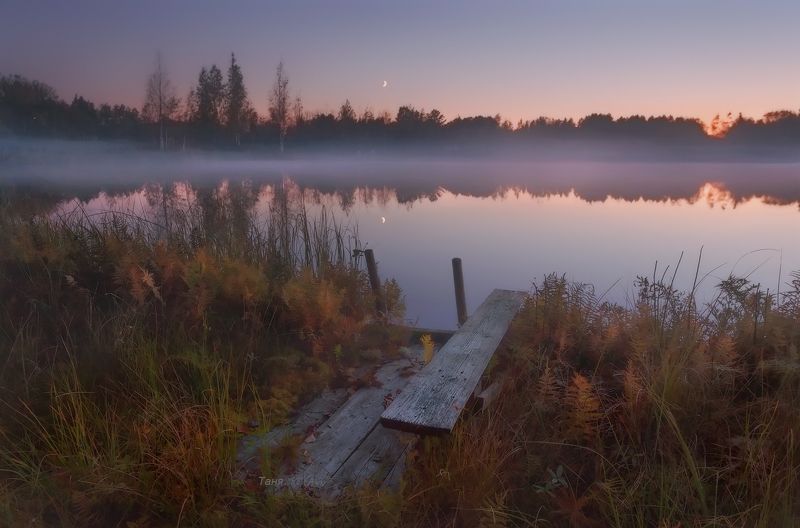 питер, ночь, вечер, закат, болото, озеро, туман К ночи....photo preview