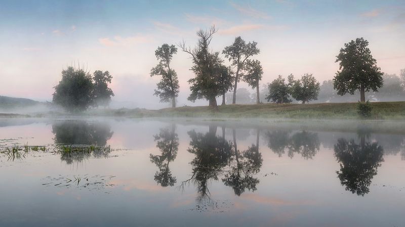 природа утро лето ***photo preview