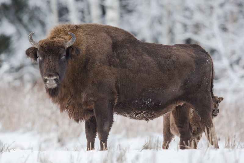 Дочки-матери.photo preview