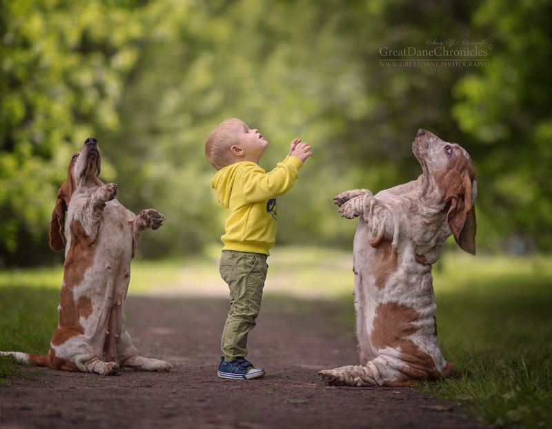 Kapellmeisterphoto preview