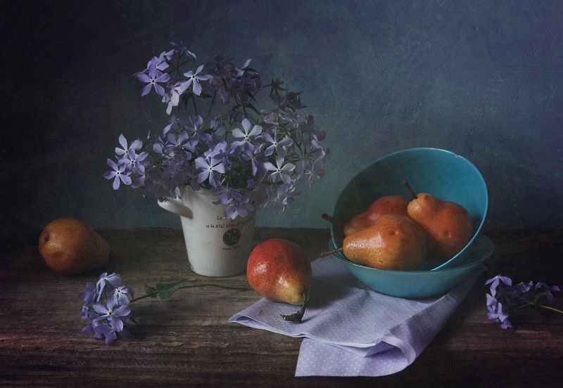 натюрморт, флоксы, груши, синий, голубой букет флоксов шиловидных в холодных тонахphoto preview