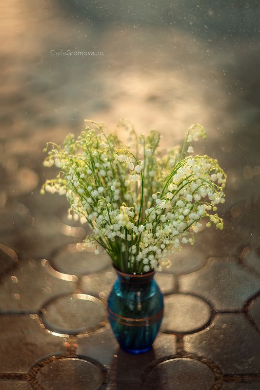 боке, ручной обьектив, мануальная оптика, фотограф, фотосессия, натюрморт, фото, блики, цветы, гелиос, макро, ландыш, закат Любимый букетphoto preview