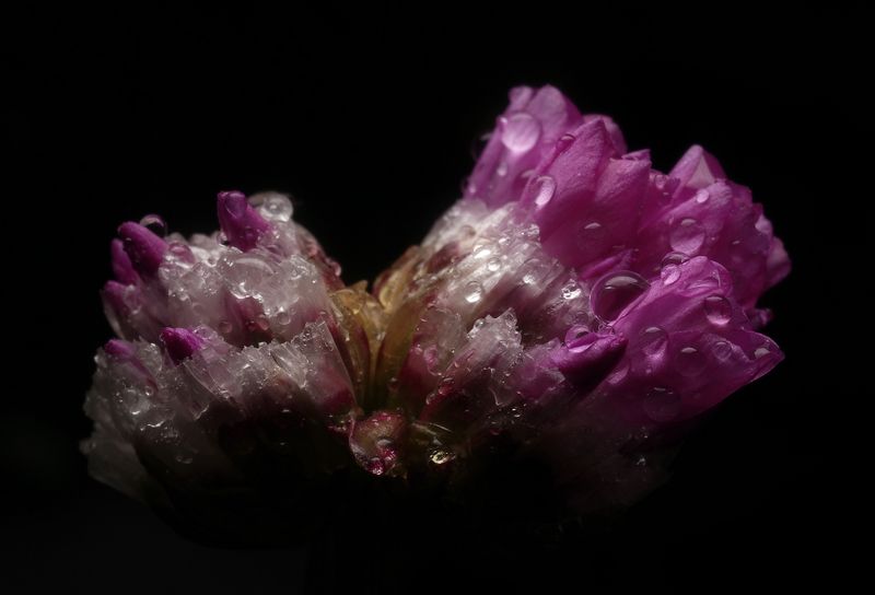 Утроphoto preview