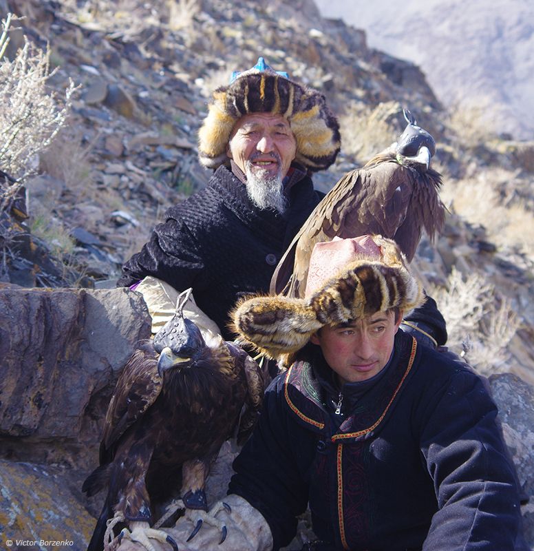 монголия, орел, беркут, охотник, беркутчи ***photo preview