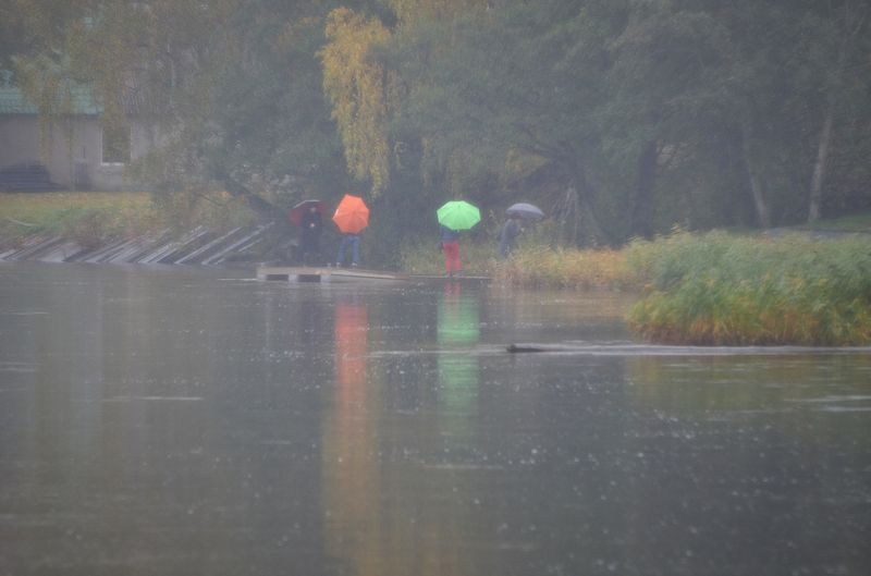 Временами местами дожди...photo preview