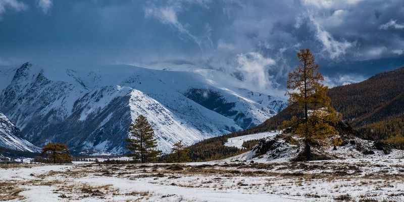 алтай, сибирь, россия, осень, горы, снег, природа, пейзаж, altai, siberia, russia, autumn, mountains, snow, nature, landscape На границе времён годаphoto preview