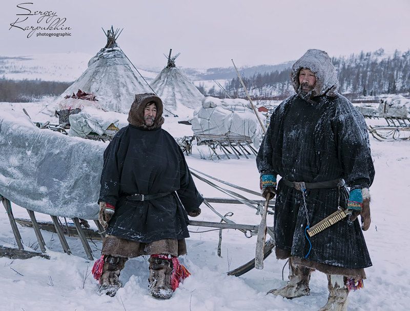 полярный урал, ямал, олени, оленеводы, ненцы Гость из соседнего стойбищаphoto preview