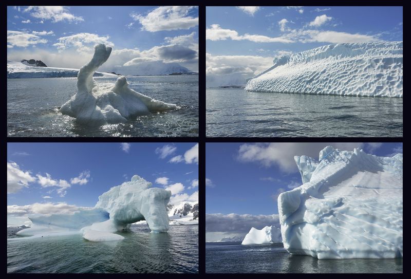 Чуды-Юды Антарктикиphoto preview