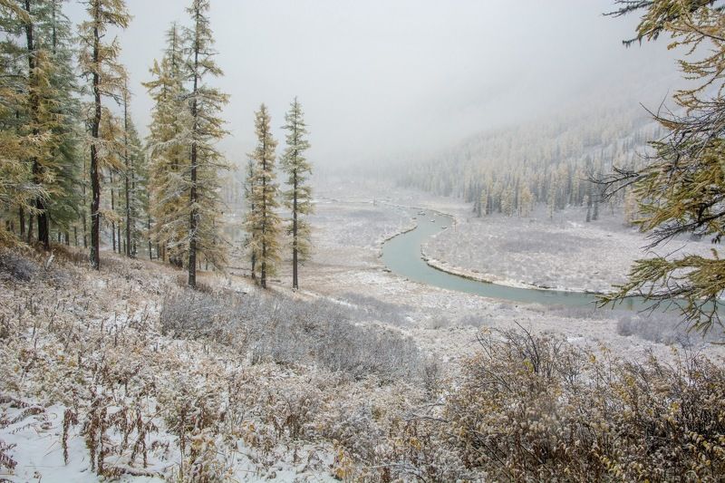 алтай,осень Нарния уже здесьphoto preview