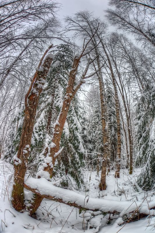 Шо? Опять зима.....?photo preview